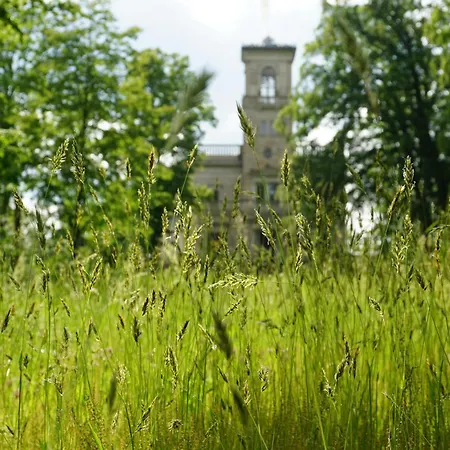 Uptown Im Herzen Der Dresdner Neustadt - Stilvoll, Zentral, Gute Anbindung Δρέσδη