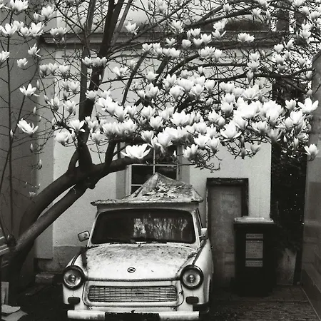 Uptown Im Herzen Der Dresdner Neustadt - Stilvoll, Zentral, Gute Anbindung Διαμέρισμα *